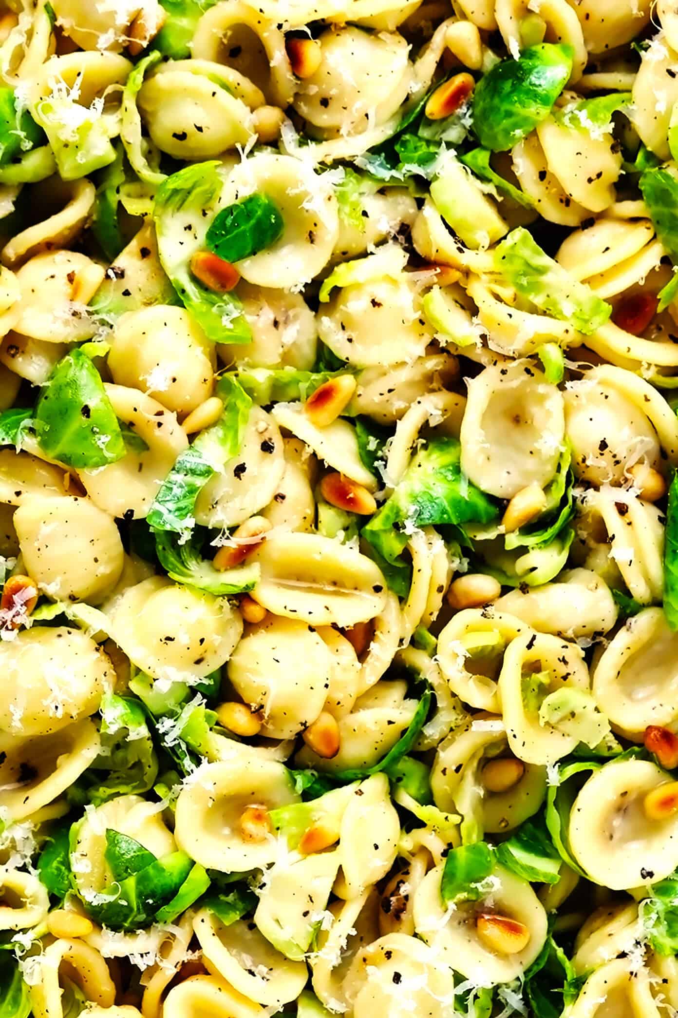 This 30-Minute Brussels Sprouts Parmesan Pasta is made with garlicky shredded Brussels sprouts, toasted pine nuts, and a silky cacio e pepe style cheese and black pepper sauce. It's the perfect easy dinner recipe for fall and winter, and tastes SO delicious. | gimmesomeoven.com #pasta #brussels #vegetarian #italian #cacioepepe #parmesan #sauce #dinner Brussels Sprouts Pasta with Pine Nuts Closeup