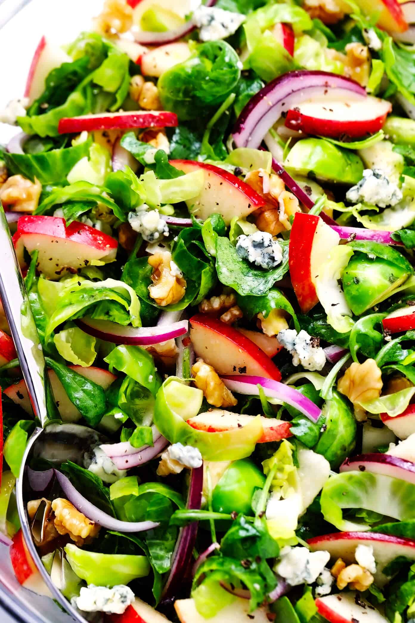 This shredded Brussels Sprouts Salad recipe is tossed with chopped arugula, sweet apples, crisp red onions, toasted nuts (walnuts, pecans, or almonds), crumbled soft cheese (blue, goat or feta), and my simple everyday salad dressing. Perfect for the holidays or winter weeknights! | gimmesomeoven.com #brussels #apple #salad #healthy #thanksgiving #christmas #holiday #glutenfree #vegetarian #dinner #side Apple Brussels Sprouts Salad Closeup