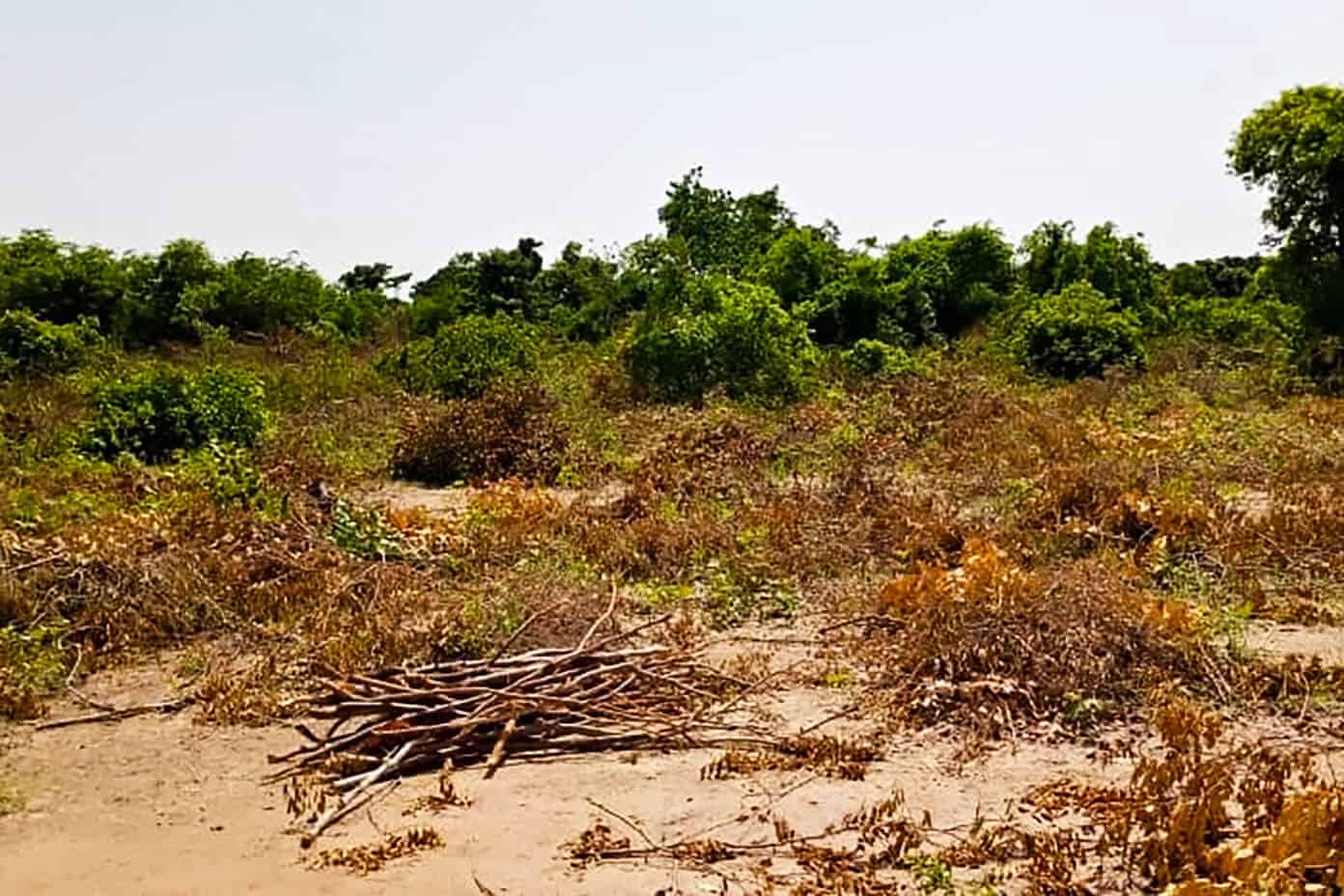 A very special project to build a new community garden with The Wash Project | Gimme Some Oven Brush land in Mali