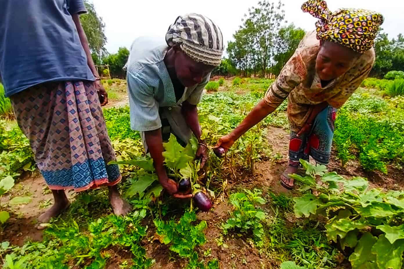 A very special project to build a new community garden with The Wash Project | Gimme Some Oven Ladies gardening with The Wash Project