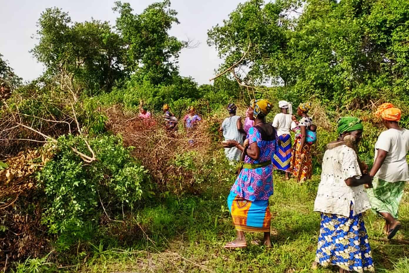 A very special project to build a new community garden with The Wash Project | Gimme Some Oven Clearing the brush to make a community garden in Mali