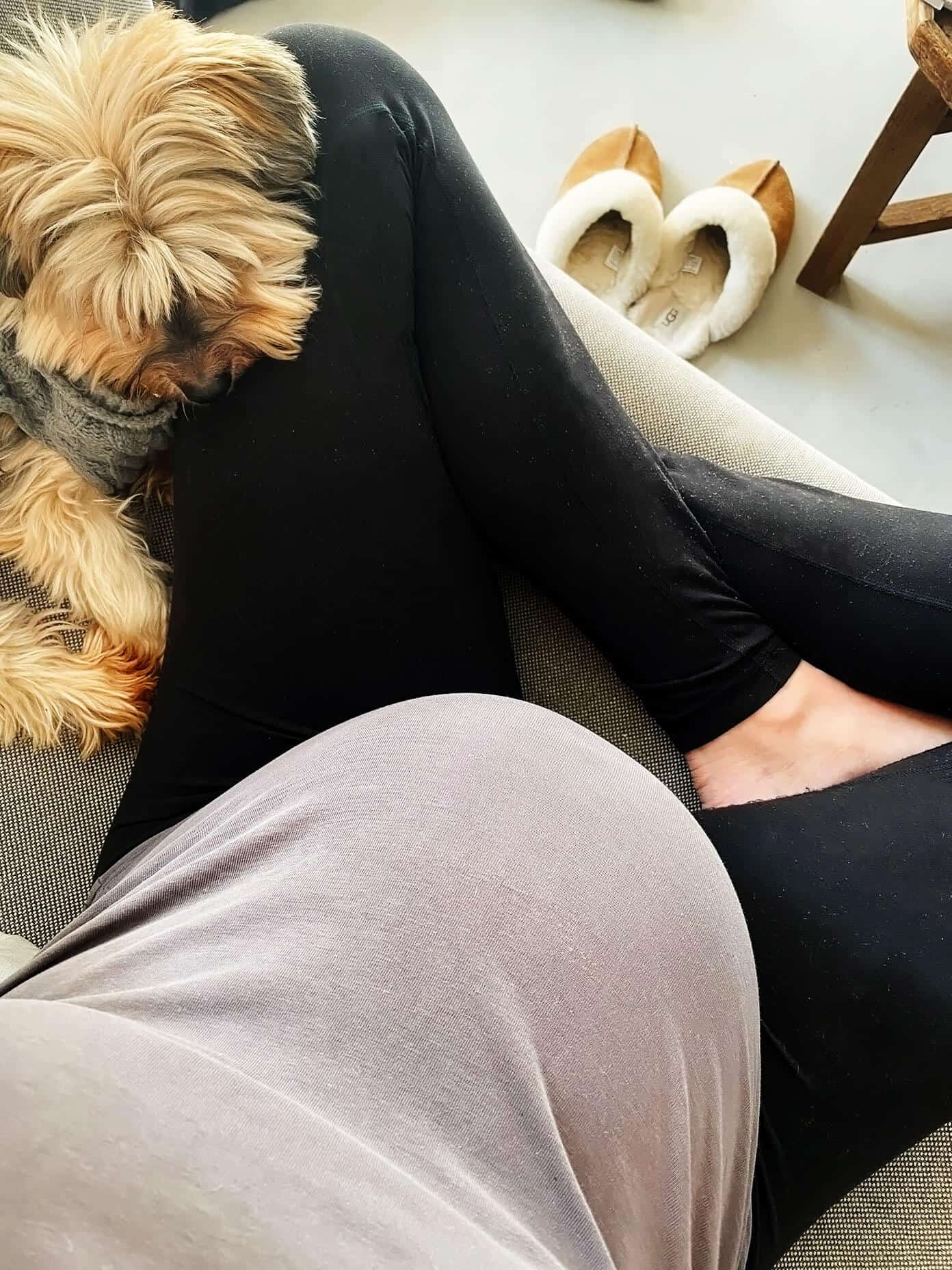 Currently | gimmesomeoven.com Baby bump and dog snuggles