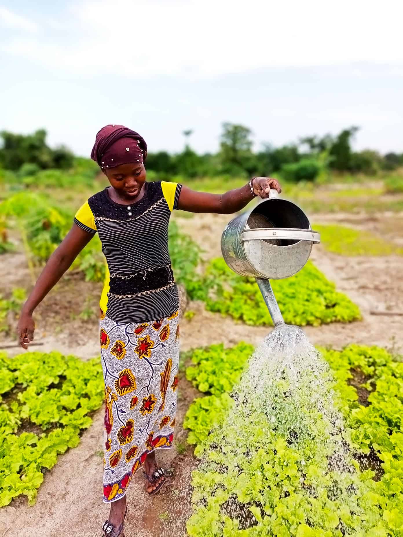 Benkadi Community Garden Update | Gimme Some Oven Benkadi Garden with The Wash Project in Mali