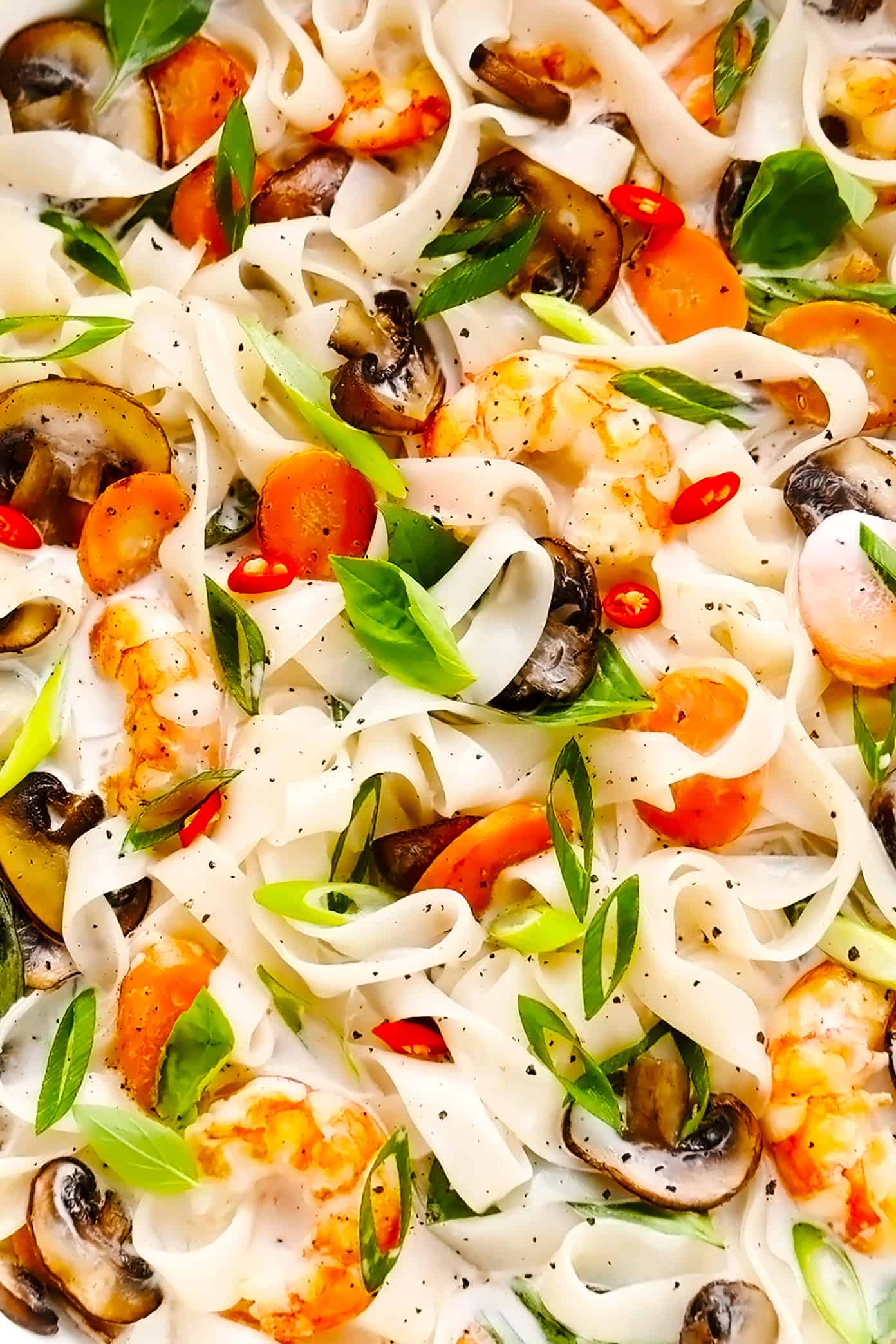 This Thai-inspired noodle stir-fry is tossed with fresh mushrooms and carrots, tender shrimp, and a zesty lemongrass ginger coconut sauce. Easy to make for dinner and full the best bright and citrusy flavors! Feel free to sub in chicken, beef, pork or tofu in place of the shrimp if you prefer. | gimmesomeoven.com Closeup of lemongrass coconut noodles with shrimp and Thai basil