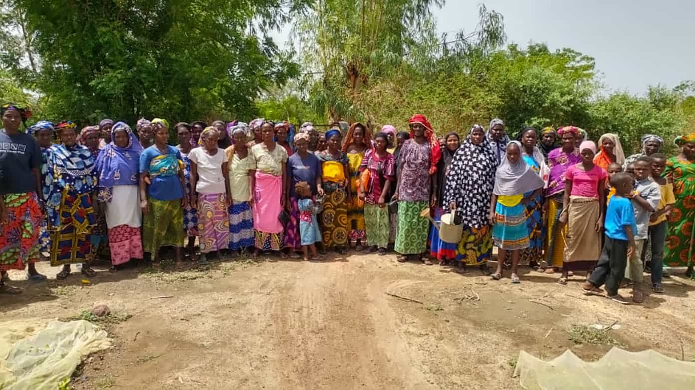 Benkadi Community Garden Update | Gimme Some Oven Women of Benkadi Garden with The Wash Project