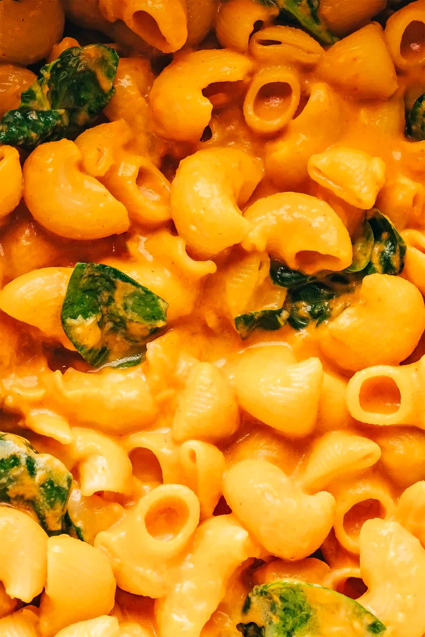 This smoky pumpkin mac and cheese recipe is made with the most dreamy smoked gouda pumpkin sauce and sprinkled with crispy garlic-herb breadcrumbs. It's easy to make, full of the best savory and sweet flavors, and such a delicious vegetarian dinner for fall or winter. | gimmesomeoven.com