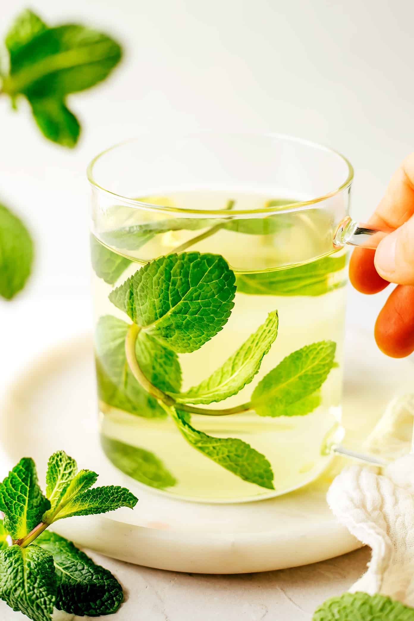 Fresh mint tea is easy to make hot or iced and always tastes so refreshing. Feel free to add sweetener and citrus (lemon or lime) too if you'd like. | gimmesomeoven.com Mug of Fresh Mint Tea