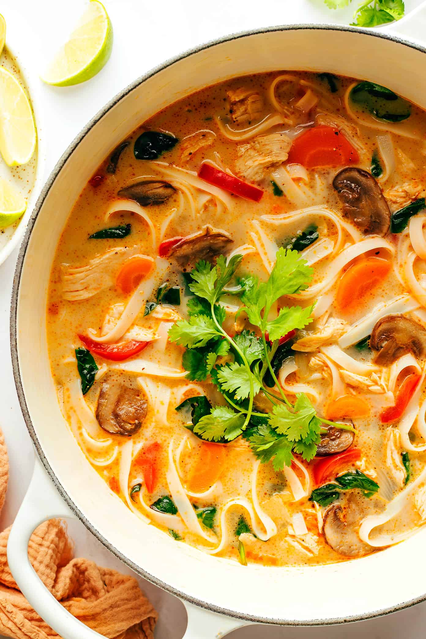 This Thai-inspired chicken noodle soup recipe is quick and easy to make, naturally gluten-free, always tastes so fresh and flavorful! Use whatever protein (chicken, beef, pork, shrimp, tofu, chickpeas), veggies, greens, and noodles you happen to have on hand, simmer everything together in a ginger coconut curry broth, top with fresh herbs and lime and dinner is ready to go! | gimmesomeoven.com Thai Chicken Noodle Soup with Cilantro