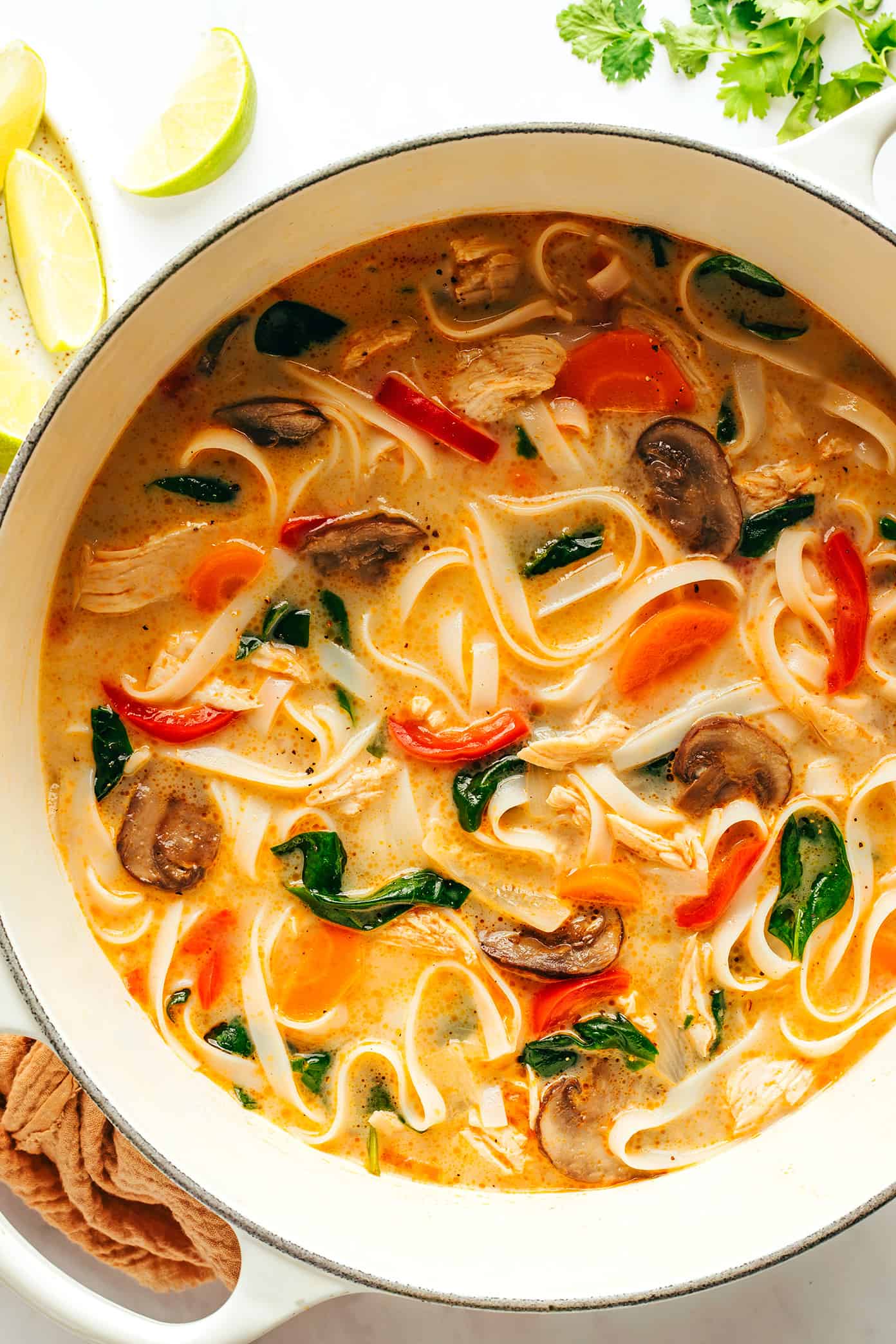 This Thai-inspired chicken noodle soup recipe is quick and easy to make, naturally gluten-free, always tastes so fresh and flavorful! Use whatever protein (chicken, beef, pork, shrimp, tofu, chickpeas), veggies, greens, and noodles you happen to have on hand, simmer everything together in a ginger coconut curry broth, top with fresh herbs and lime and dinner is ready to go! | gimmesomeoven.com Thai Chicken Noodle Soup in Pot