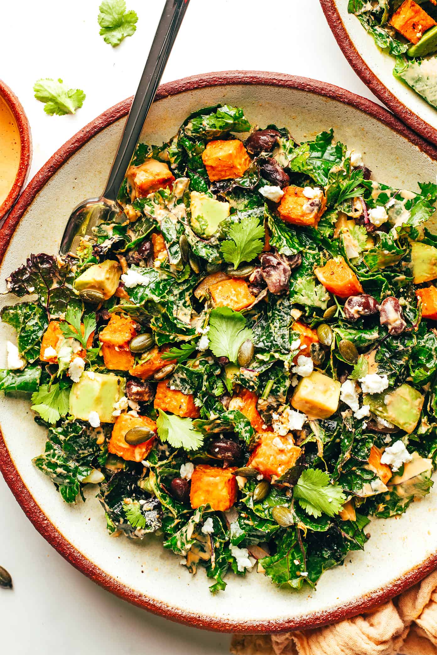 This Tex-Mex inspired kale salad is loaded up with zesty roasted sweet potatoes, avocado, pepitas, red onion, black beans, cotija or feta cheese, and lots of fresh cilantro. Then it's drizzled with a heavenly 4-ingredient chipotle lime tahini dressing, which you are going to LOVE. Feel free to add in a protein (chicken, shrimp, steak, etc) if you'd like, or skip the cheese and turn this vegetarian recipe vegan. It's healthy, naturally gluten-free and always so delicious! | gimmesomeoven.com Roasted sweet potato avocado kale salad in bowl with fork
