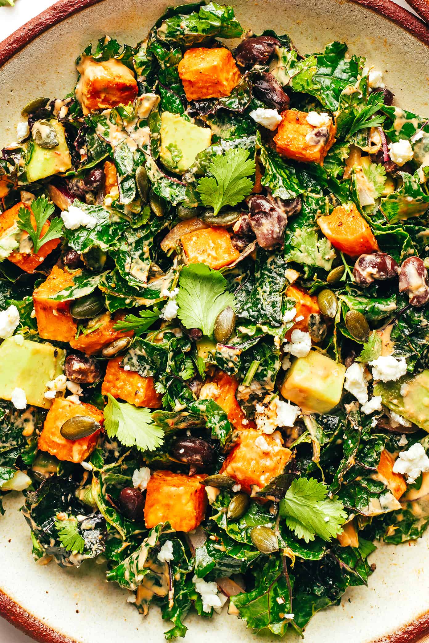 This Tex-Mex inspired kale salad is loaded up with zesty roasted sweet potatoes, avocado, pepitas, red onion, black beans, cotija or feta cheese, and lots of fresh cilantro. Then it's drizzled with a heavenly 4-ingredient chipotle lime tahini dressing, which you are going to LOVE. Feel free to add in a protein (chicken, shrimp, steak, etc) if you'd like, or skip the cheese and turn this vegetarian recipe vegan. It's healthy, naturally gluten-free and always so delicious! | gimmesomeoven.com Roasted sweet potato kale salad in bowl with avocado, pepitas and chipotle tahini dressing