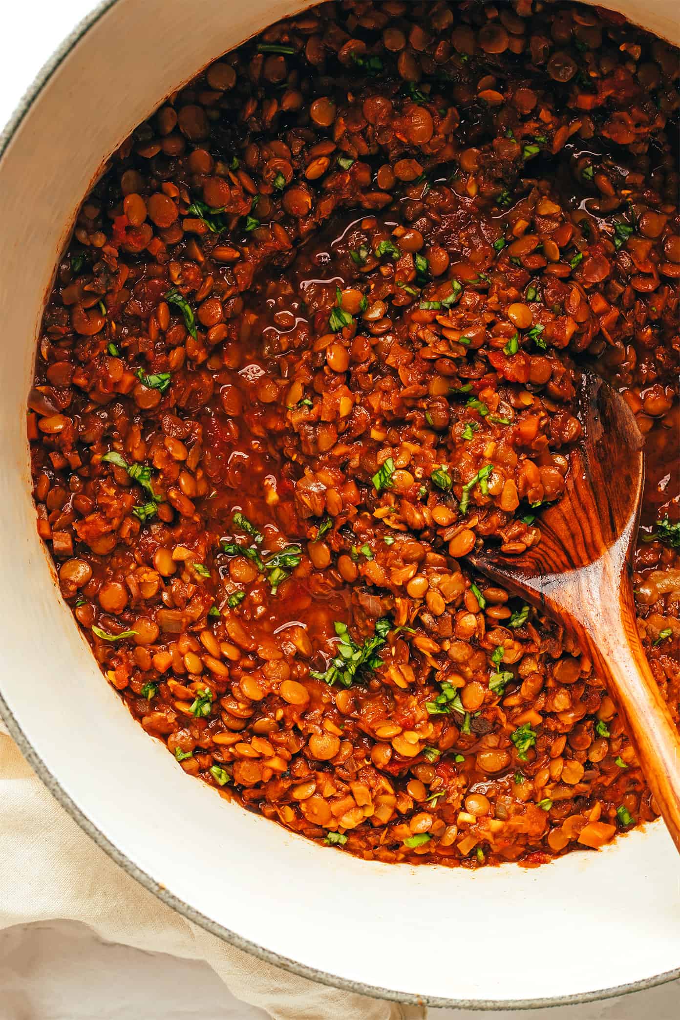 This hearty lentil bolognese recipe is naturally gluten-free, vegetarian and vegan and simmered with a garlicky mushroom-herb tomato sauce. Feel free to serve for dinner with pasta, gnocchi, mashed potatoes, polenta or whatever sounds good! | gimmesomeoven.com Vegetarian Bolognese Sauce in Pot