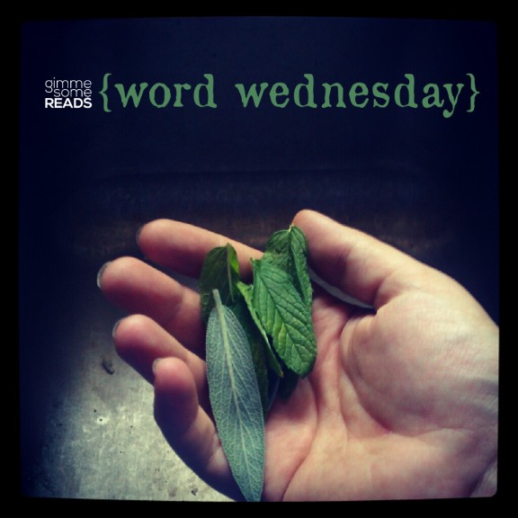 fillip options: sage & mint from my garden | 2012