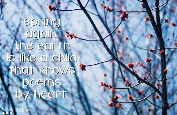 spring begins to show her face | Lawrence, KS 2008