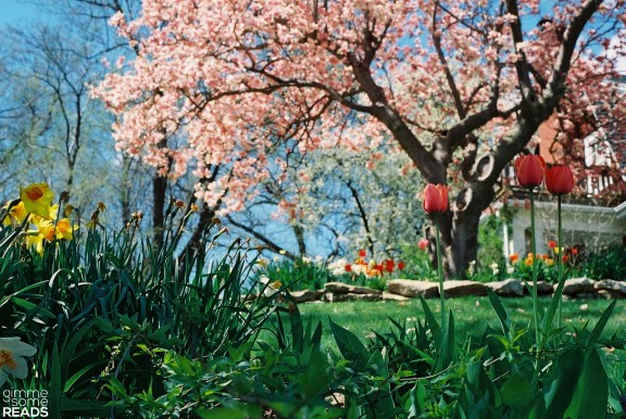 oh spring! | gimmesomereads.com