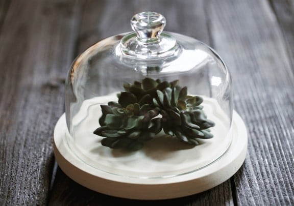 Have a black thumb? Make this simple faux terrarium! | www.gimmesomestyleblog.com #diy #terrarium