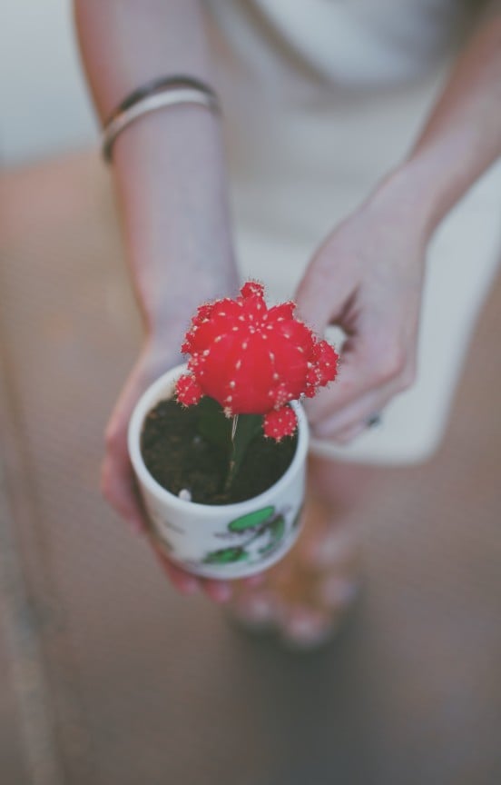 Earth Day! | www.gimmesomestyleblog.com 